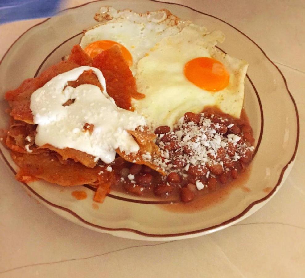 Hotel Posada Chamacuero Comonfort Zewnętrze zdjęcie